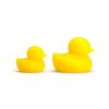 A POUND OF FLESH - LUCKY DUCKY
